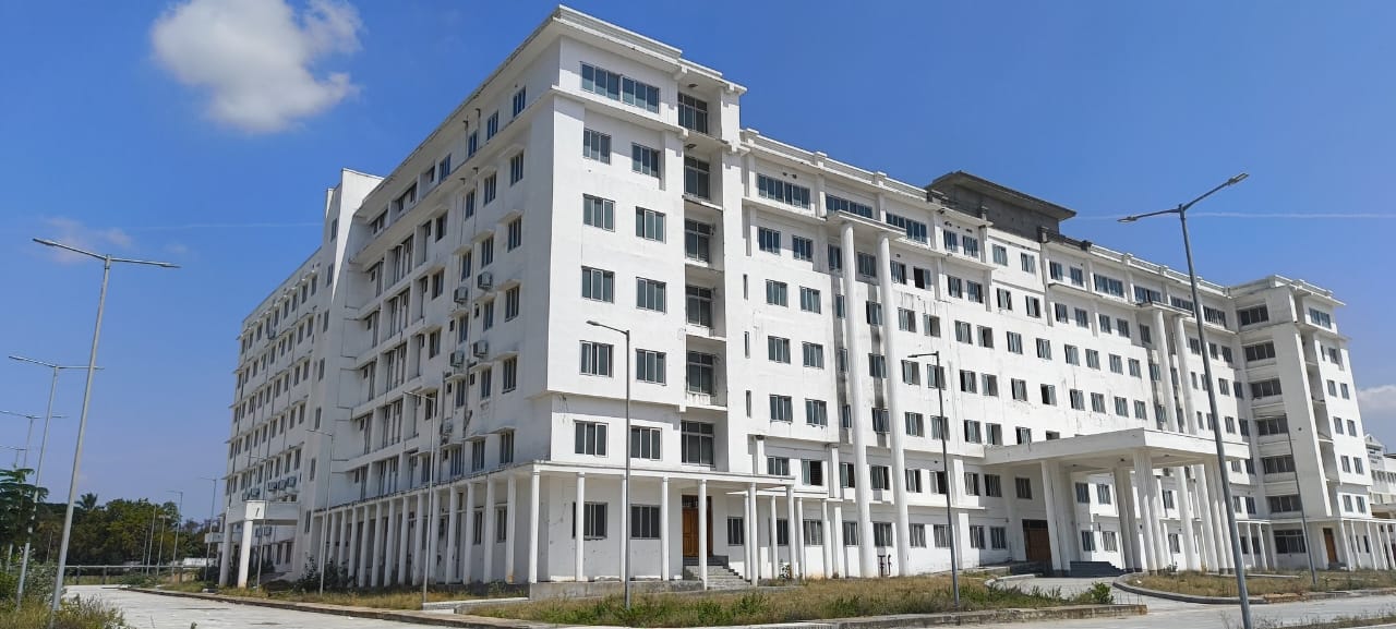 colla office.jpg